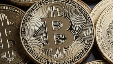 Bitcoin Hits $67K High, Meme Coins Surge: today crypto price