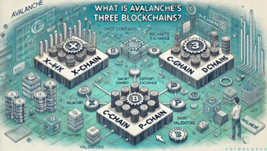 What Is Avalanche's Three Blockchains