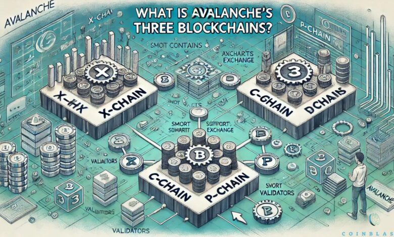 What Is Avalanche's Three Blockchains