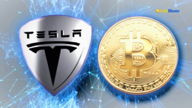 Tesla Crypto Trading Platform: The Future of Digital Currency Investment?