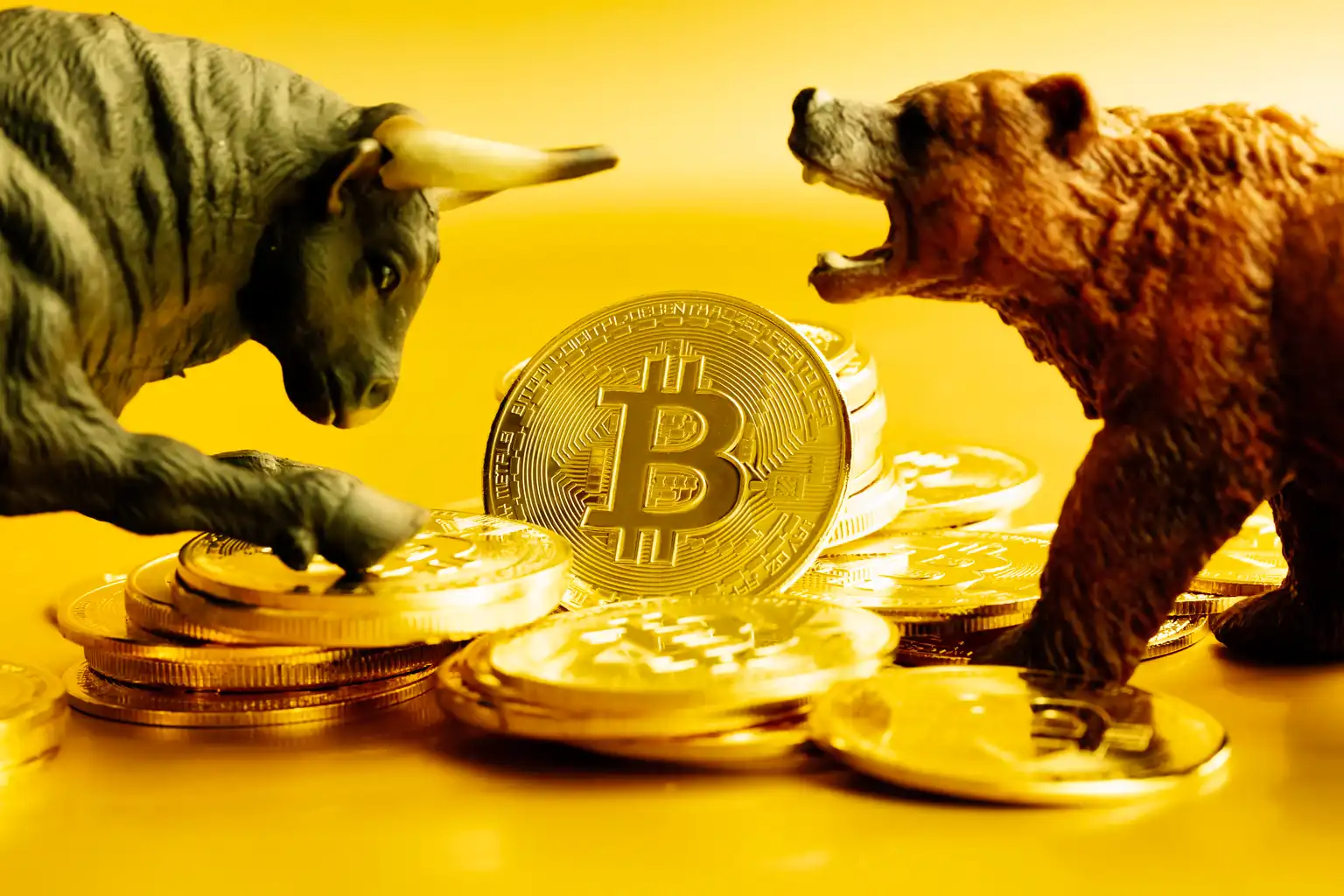 Bitcoin's Bullish vs Bearish Scenarios