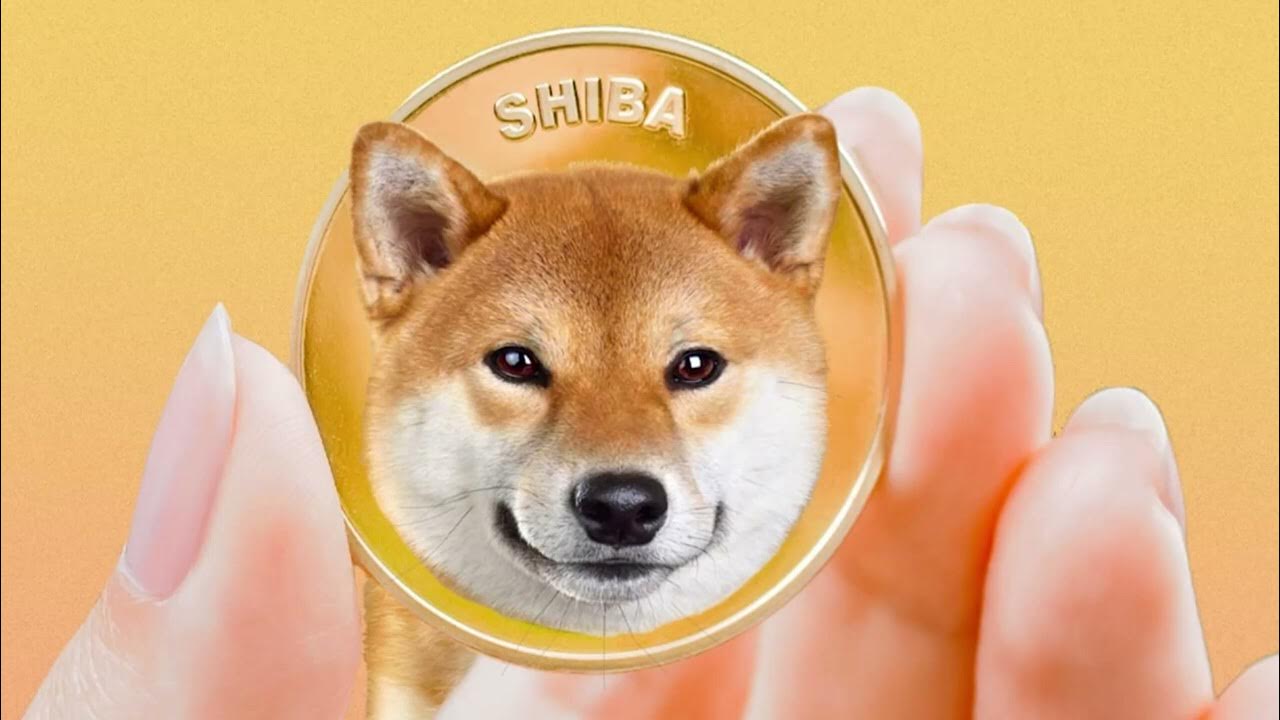 Dogecoin, Shiba Inu, and Floki Inu