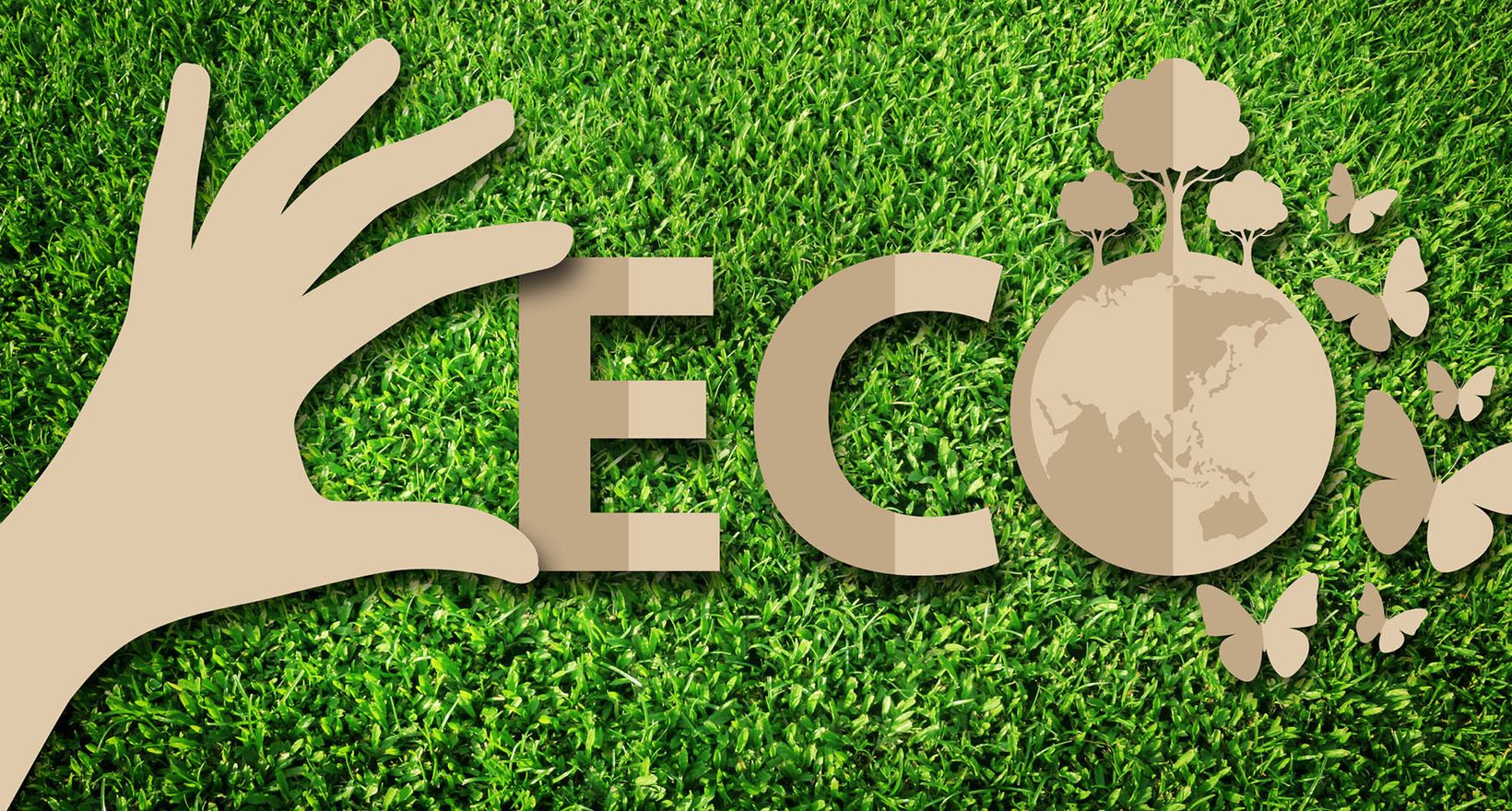 Eco-Friendly Features in Arizona Rentals