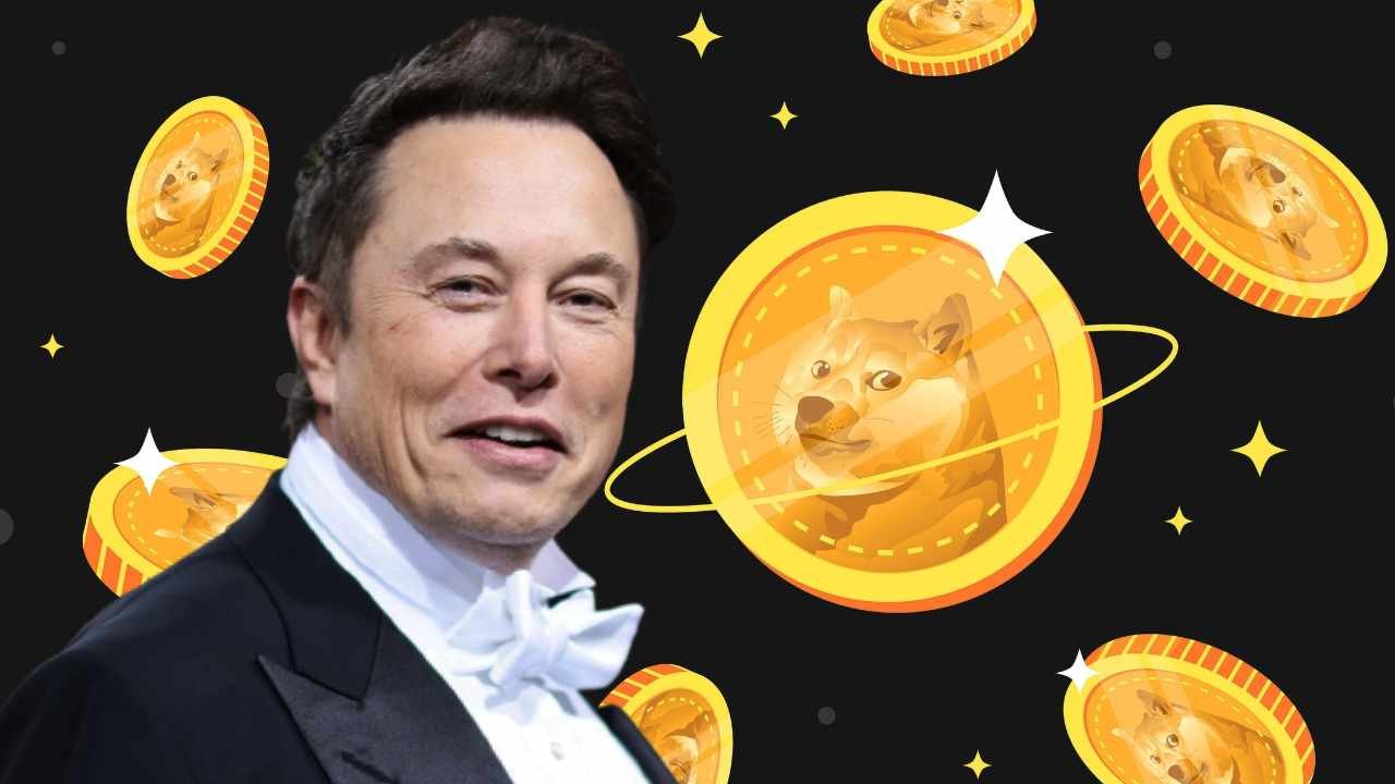Resilience of Dogecoin and Elon Musk's Impact