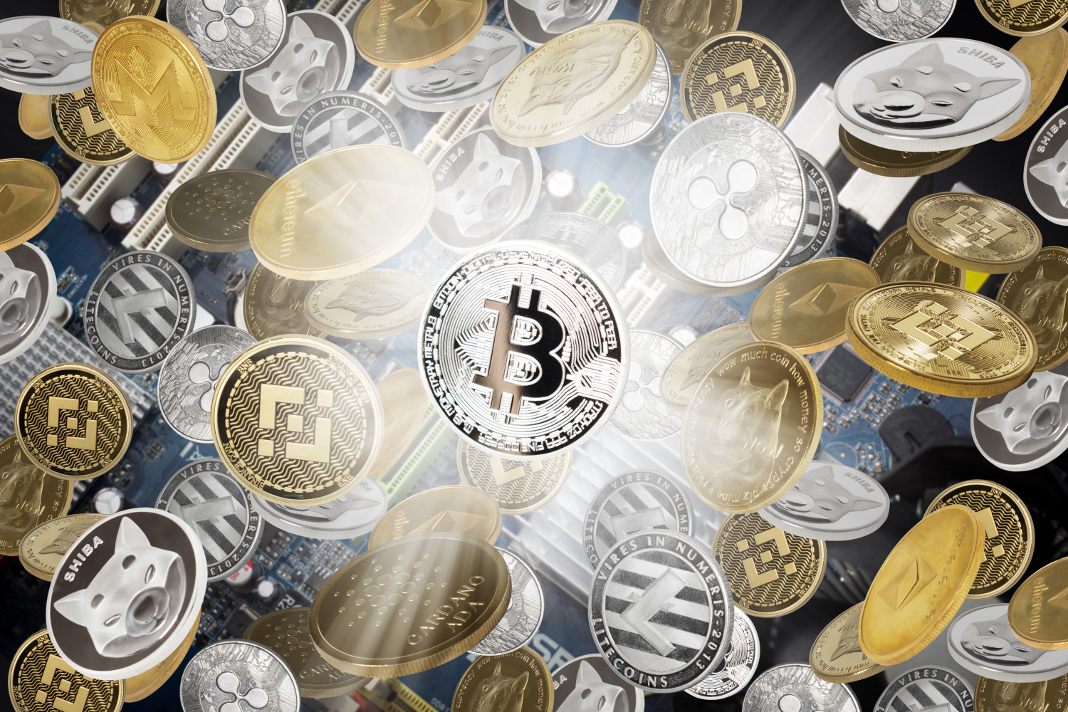 Building a Diversified Meme Coin Portfolio