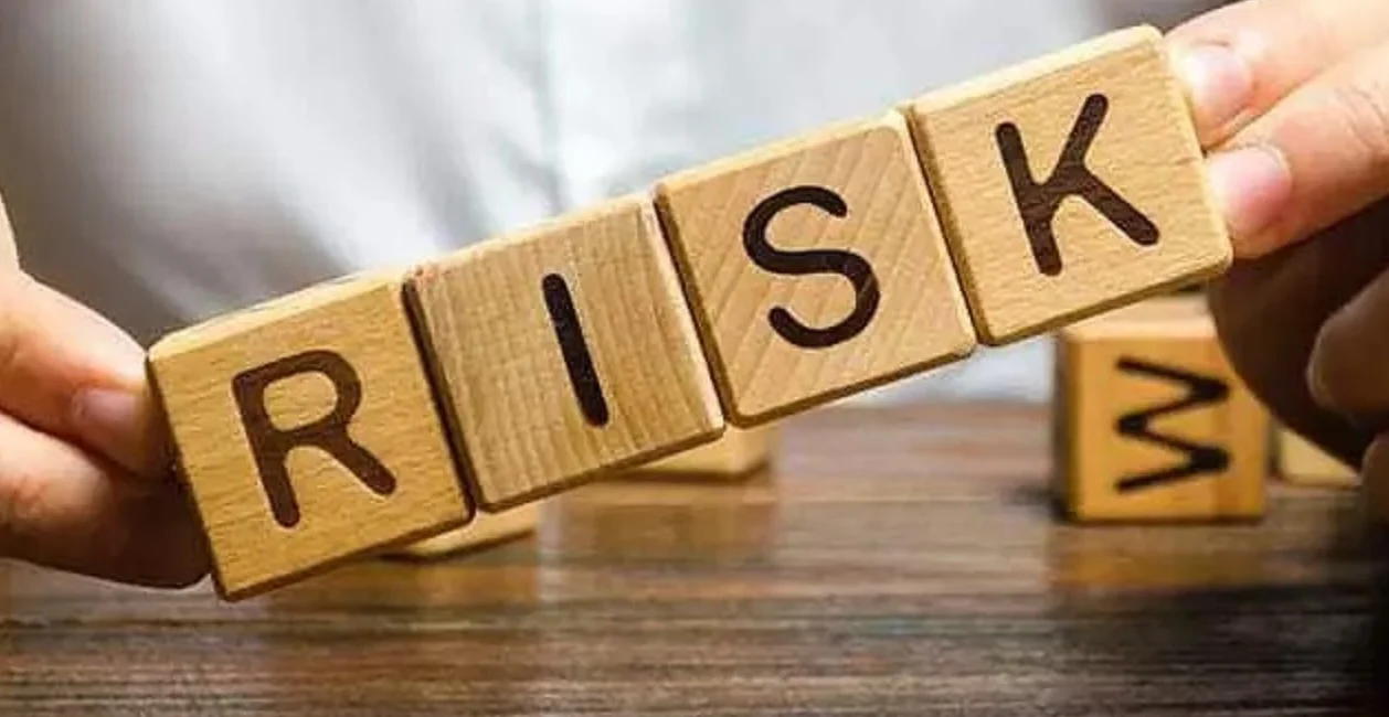 Risk Factors and Challenges for 2025